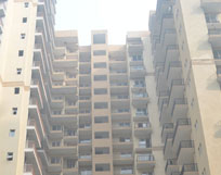 Apartments in Noida