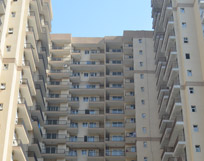 Apartments in Noida